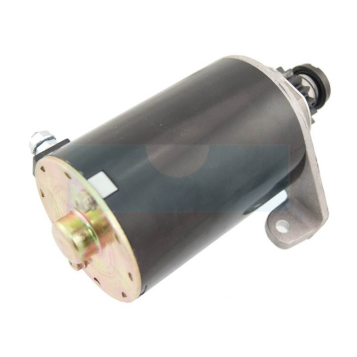 Démarreur pour moteur Briggs & Stratton (391178)