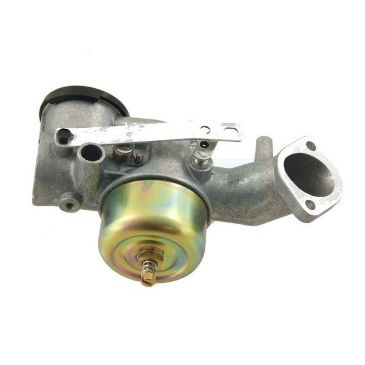 Carburateur pour moteur Briggs & Stratton (491031)