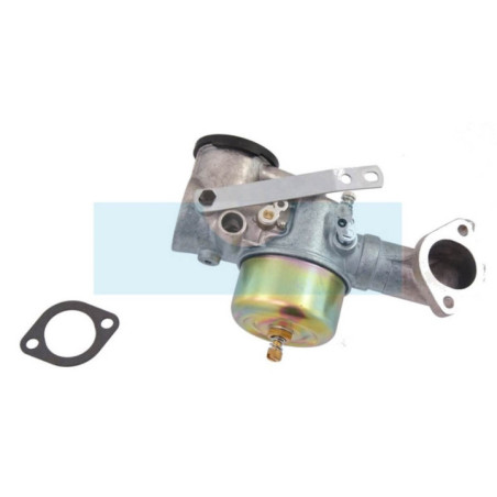 Carburateur pour moteur Briggs & Stratton (491590)