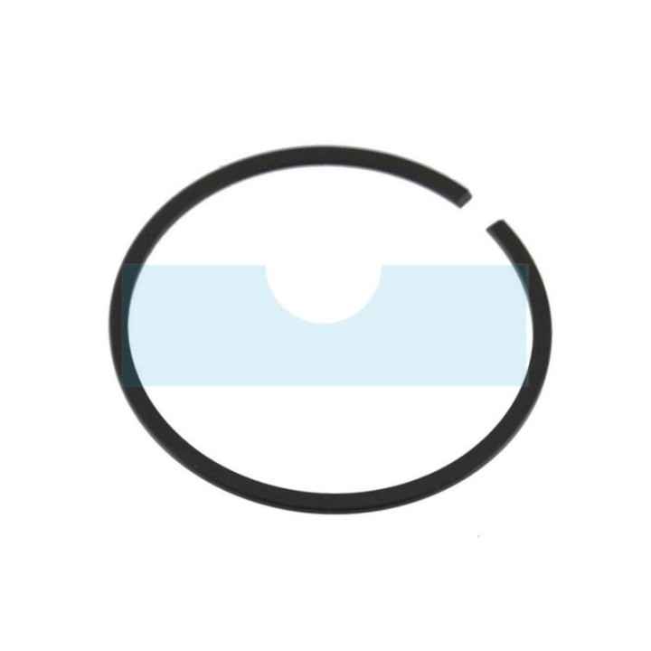 Segment pour Echo / Shindaiwa (10001132431)