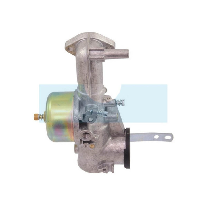 Carburateur pour moteur Briggs & Stratton (491590)