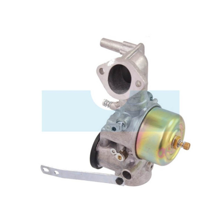 Carburateur pour moteur Briggs & Stratton (491590)