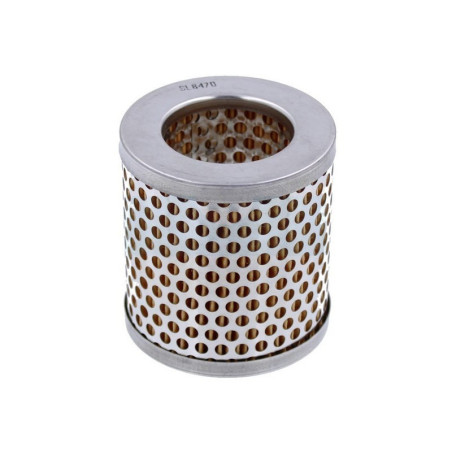 Filtre à air pour As Motor (12574)