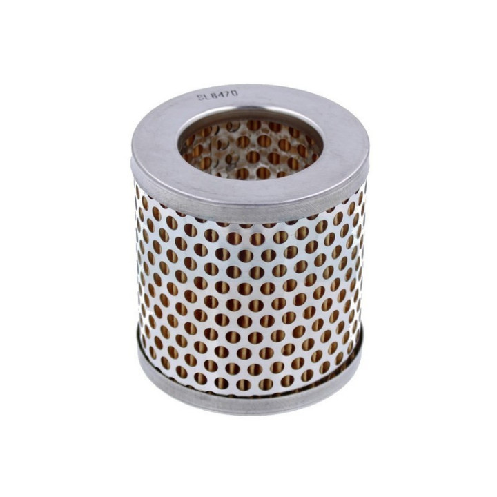 Filtre à air pour As Motor (12574)
