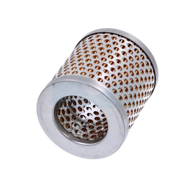 Filtre à air pour As Motor (12574)