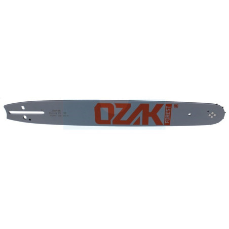 Guide pour tronçonneuse Echo (Coupe de 38cm) (0.325'' / 1.5mm / 64) (43172130230)