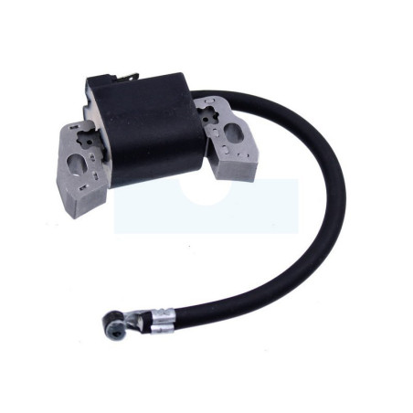 Bobine d'allumage pour moteur Briggs & Stratton (796499)