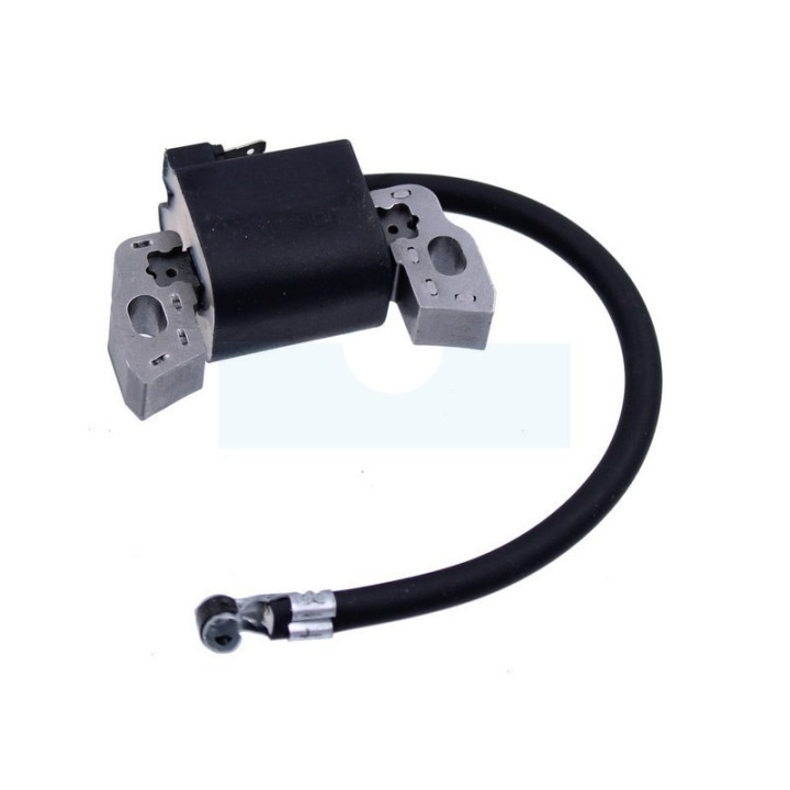 Bobine d'allumage pour moteur Briggs & Stratton (796499)