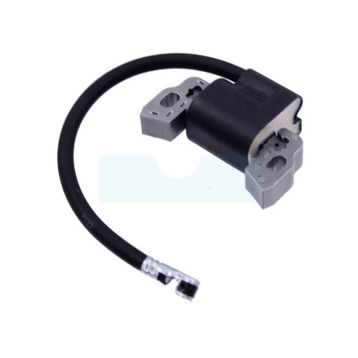 Bobine d'allumage pour moteur Briggs & Stratton (796499)