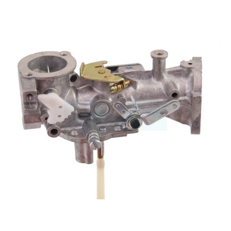 Carburateur pour moteur Briggs & Stratton (495459)