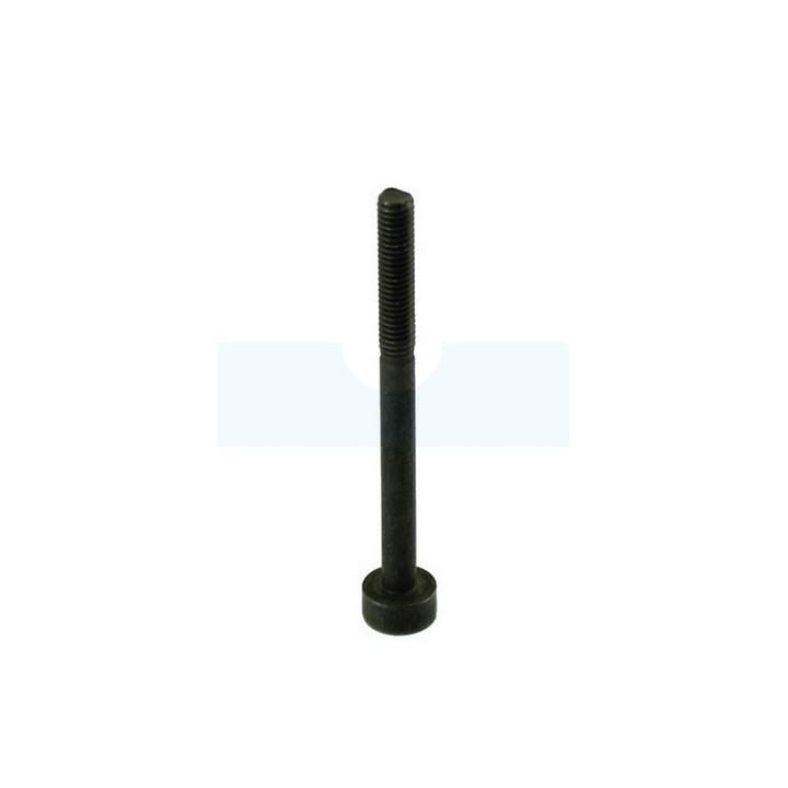 Vis ihscm pour tronçonneuse Jonsered (503202550)