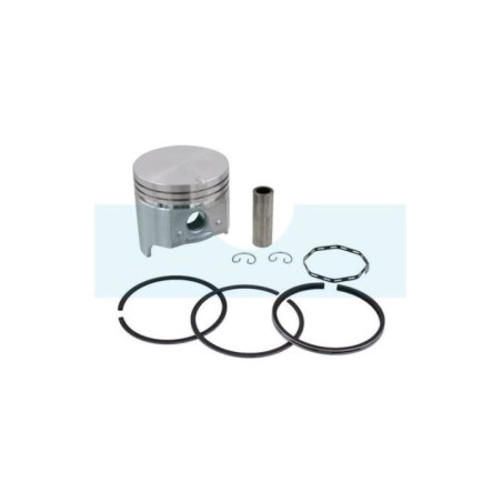 Piston pour moteur Briggs & Stratton (390364)