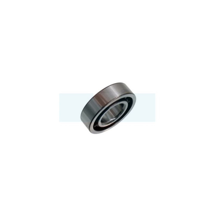 Roulement de vilebrequin pour débroussailleuse / récolteuse d'olive / souffleur / tarière / moteur Stihl (95030030310)