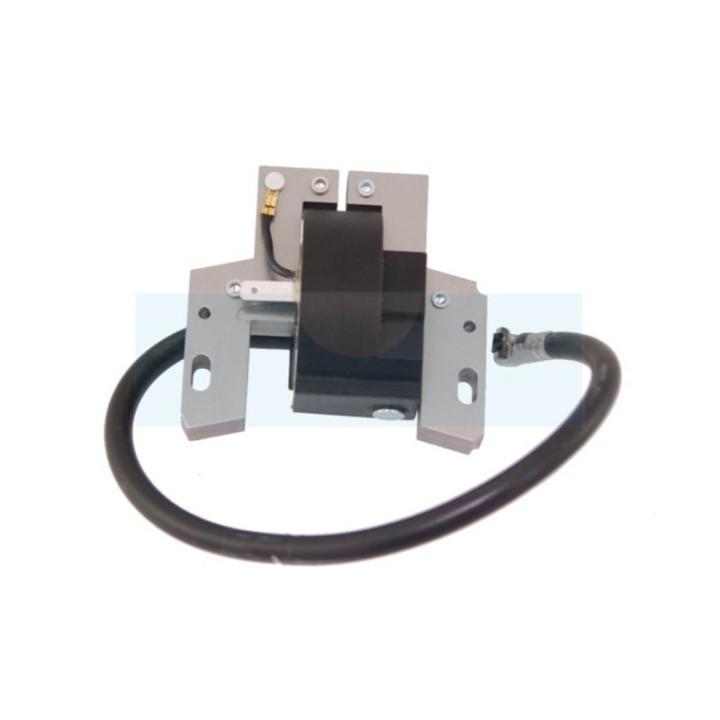 Bobine d'allumage électronique pour moteur Briggs & Stratton (691060)