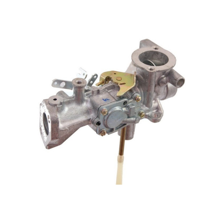 Carburateur pour moteur Briggs & Stratton (495459)