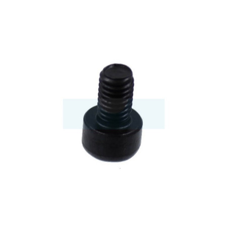 Vis ihscm pour tronçonneuse / taille-haie Husqvarna (725532305)