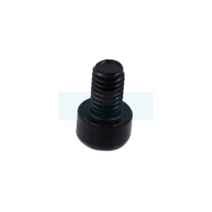 Vis ihscm pour tronçonneuse / taille-haie Husqvarna (725532305)