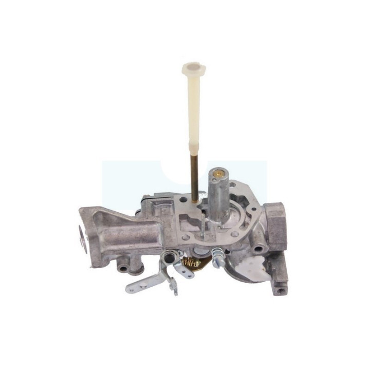 Carburateur pour moteur Briggs & Stratton (495459)