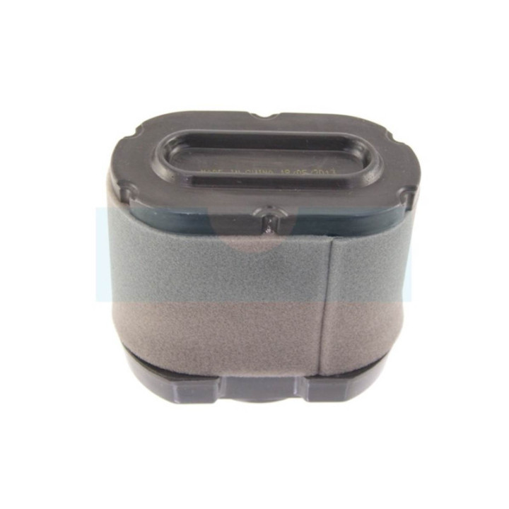 Filtre à air pour moteur Briggs & Stratton (792105)
