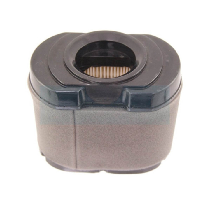Filtre à air pour moteur Briggs & Stratton (792105)