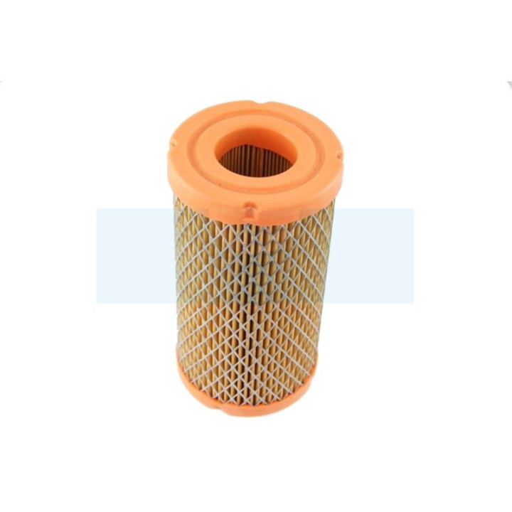 Filtre à air pour moteur Briggs & Stratton (793569)
