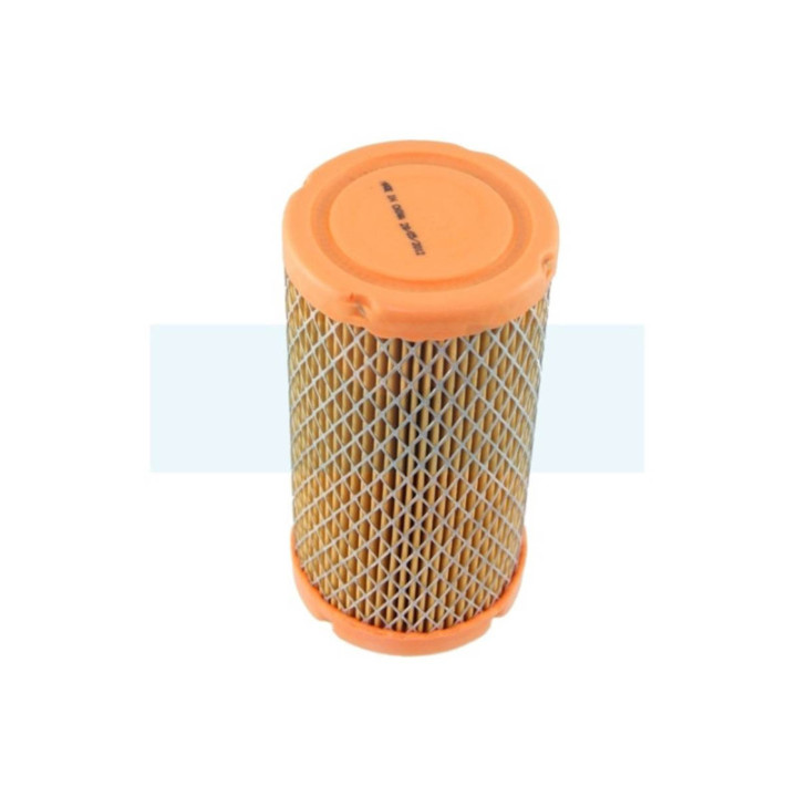 Filtre à air pour moteur Briggs & Stratton (793569)