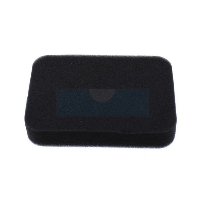 Filtre à air pour moteur Honda (17211899000)