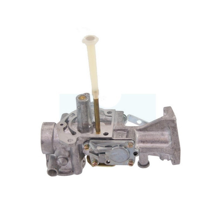 Carburateur pour moteur Briggs & Stratton (495459)