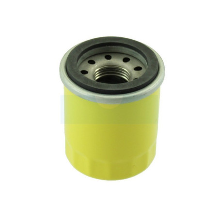 Filtre à huile pour moteur Briggs & Stratton (795990)