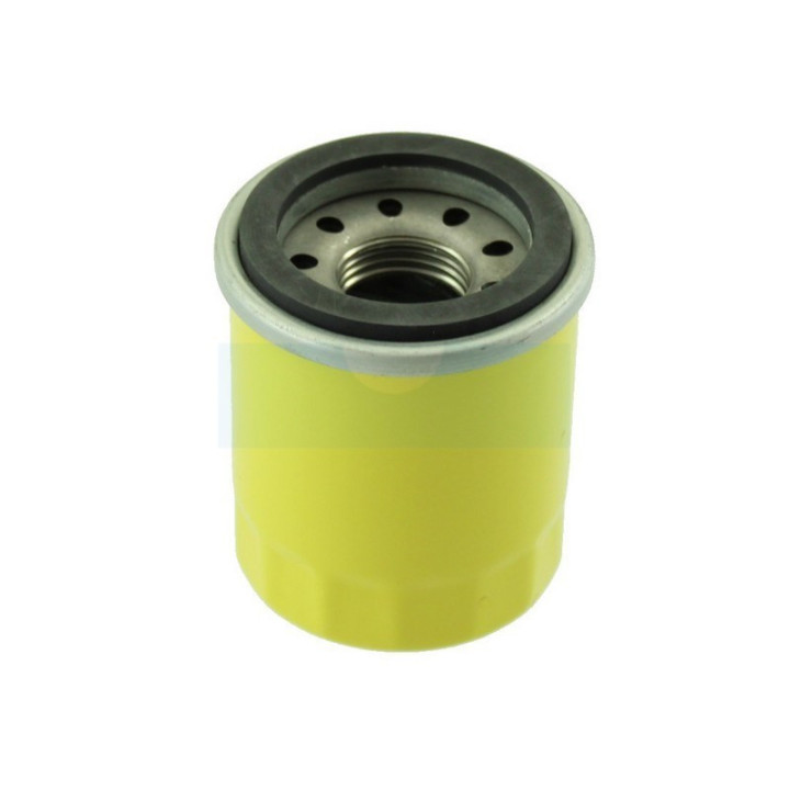 Filtre à huile pour moteur Briggs & Stratton (795990)