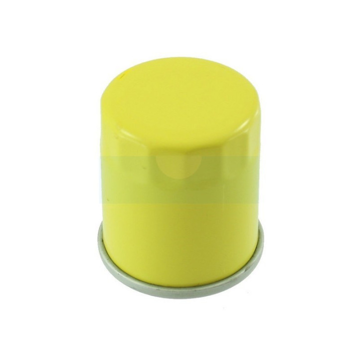 Filtre à huile pour moteur Briggs & Stratton (795990)