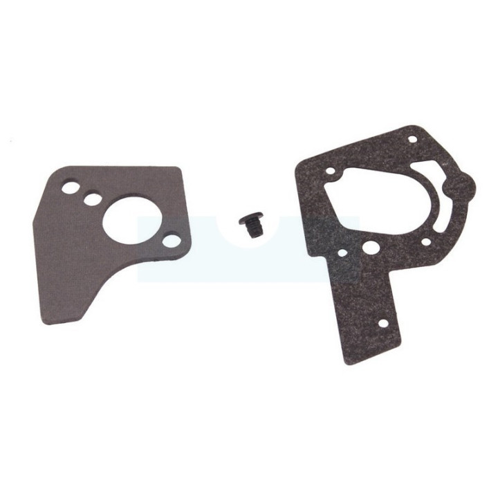Carburateur pour moteur Briggs & Stratton (495459)