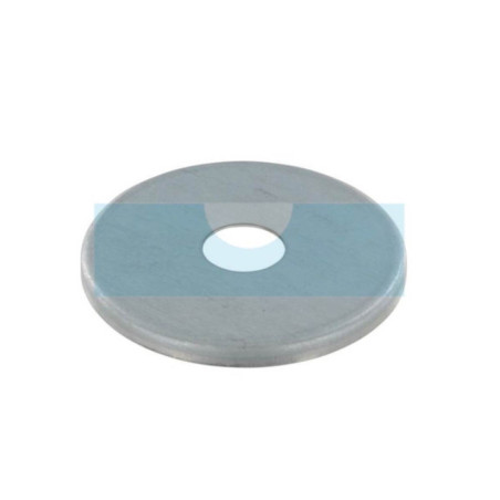 Rondelle de protection pour débroussailleuse Stihl (41197172800)