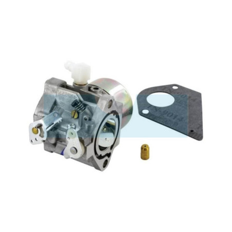 Carburateur pour moteur Briggs & Stratton (495778)