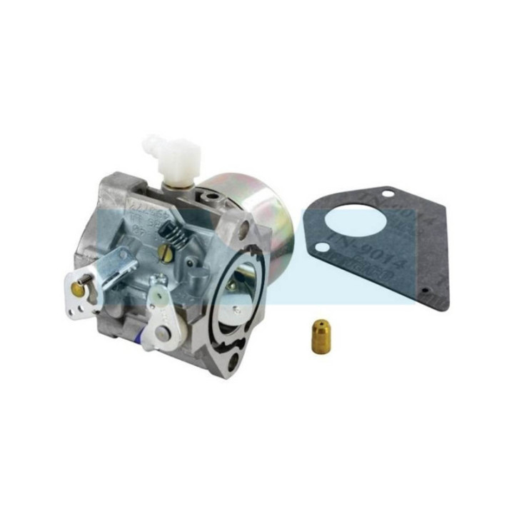 Carburateur pour moteur Briggs & Stratton (495778)