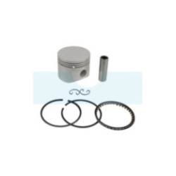 Piston pour moteur Kohler (4787411)
