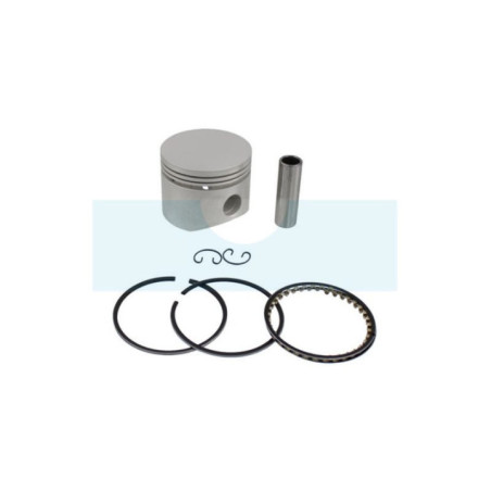 Piston pour moteur Kohler (4787411)