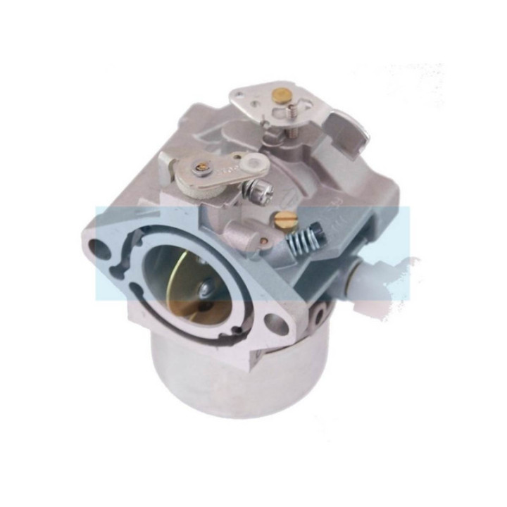 Carburateur pour moteur Briggs & Stratton (495778)