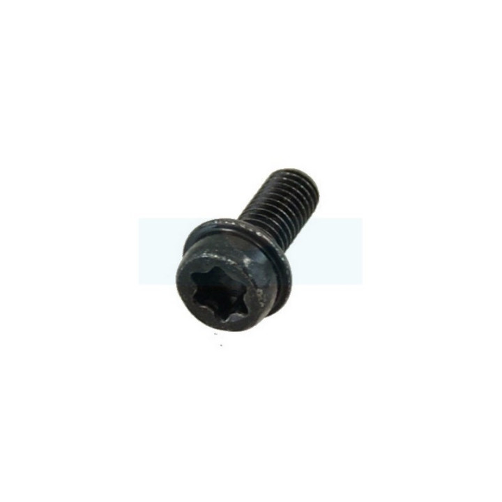 Vis itxscfm pour tronçonneuse / taille-haie / tondeuse robot Mc Culloch (525755105)