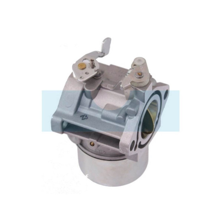 Carburateur pour moteur Briggs & Stratton (495778)