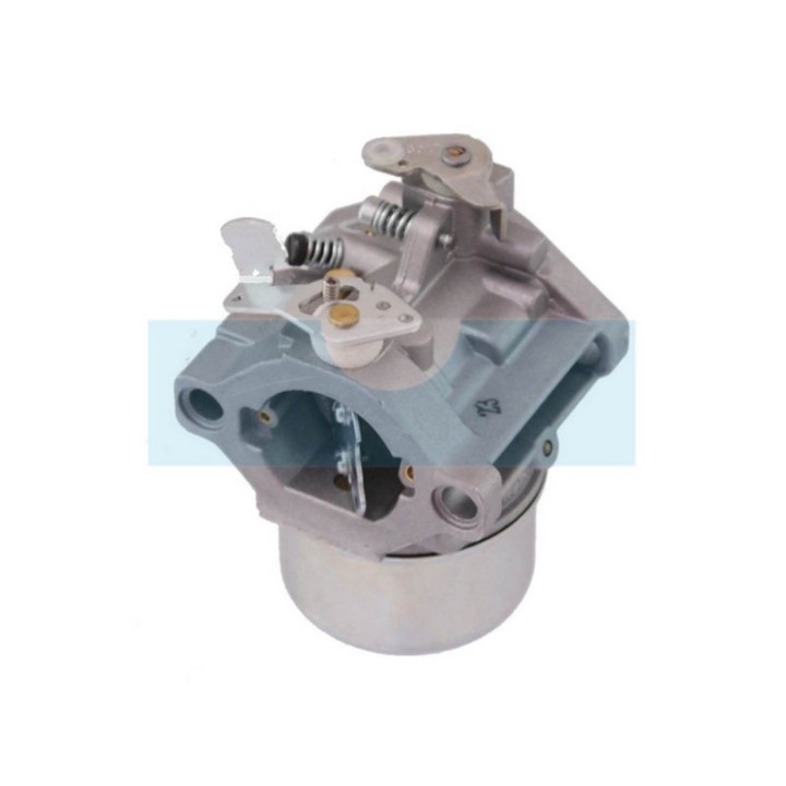 Carburateur pour moteur Briggs & Stratton (495778)