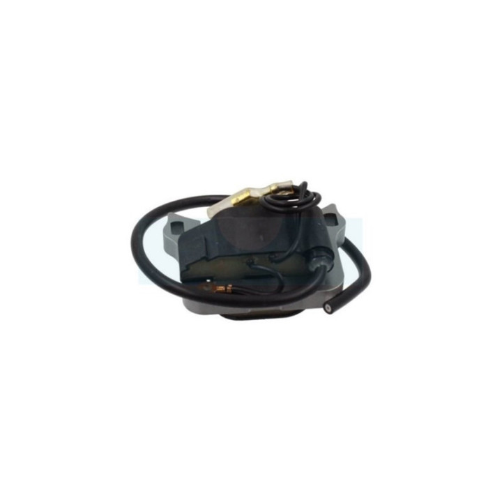 Bobine d'allumage pour moteur Kawasaki (211712178)
