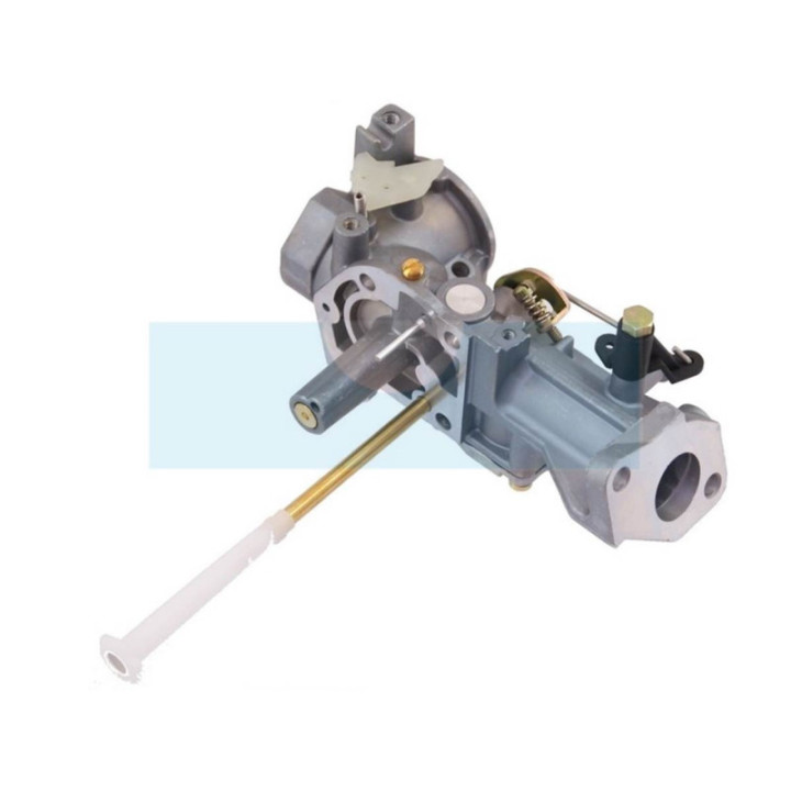 Carburateur pour moteur Briggs & Stratton (498298)