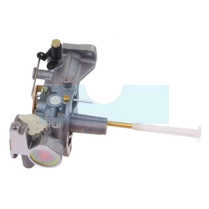 Carburateur pour moteur Briggs & Stratton (498298)