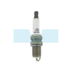Bougie BS12YC pour Briggs & Stratton