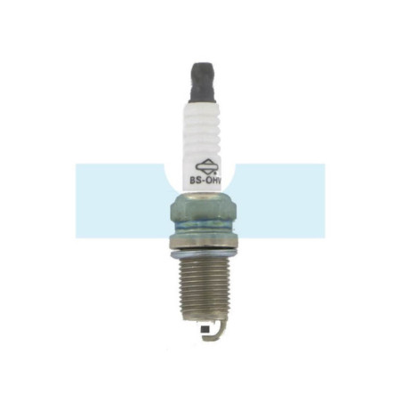 Bougie BS12YC pour Briggs & Stratton