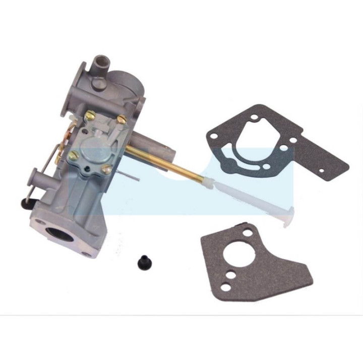 Carburateur pour moteur Briggs & Stratton (498298)