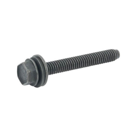 Vis pour moteur Briggs & Stratton (590422)