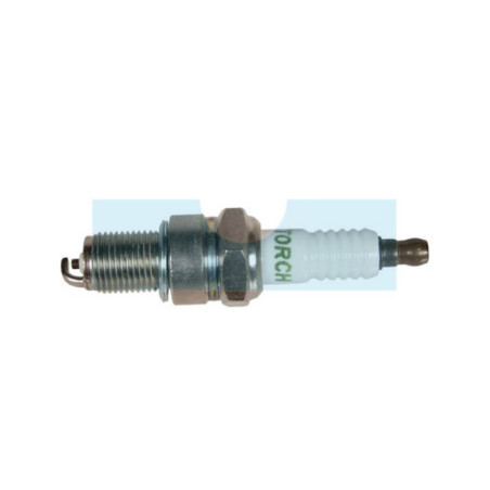 Bougie F6TC pour Briggs & Stratton (798615)