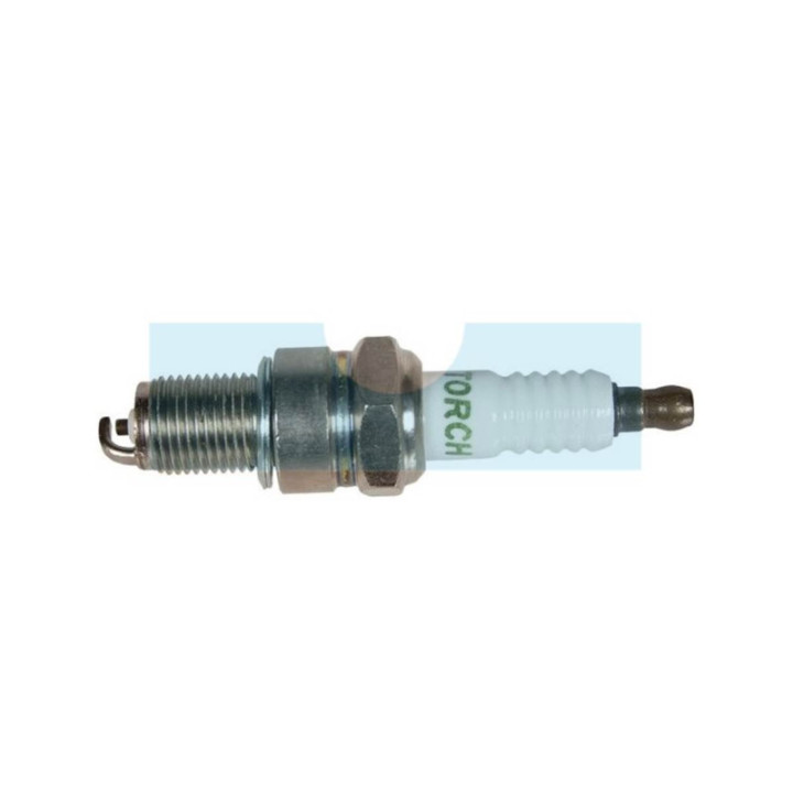 Bougie F6TC pour Briggs & Stratton (798615)